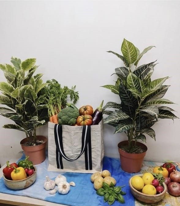 vegetable-bag